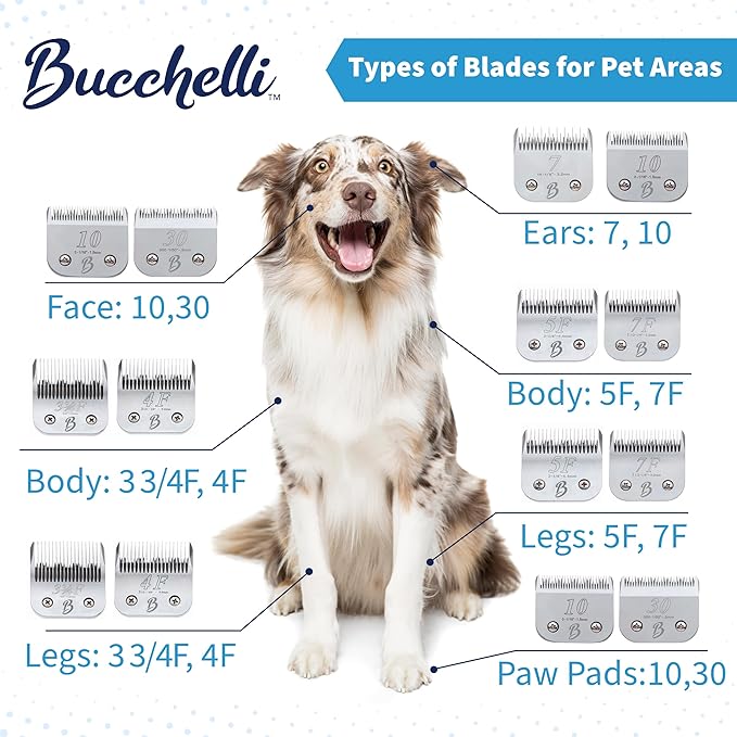 Detachable A Series 6f Blade Dog Grooming Cuts Length 3/16" - 4.8mm Japanese High Carbon Steel Dog Grooming Blade Supplies | Detachable Blade Clippers (Compatible A5 Series(B6F)