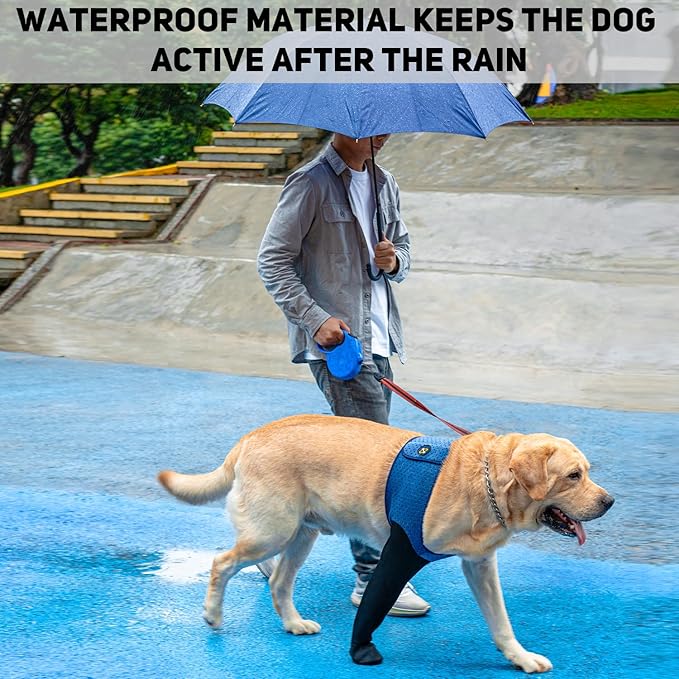 COODEO Dog Socks to Prevent Licking Paws, Healing Boots & Paw Protectors with Non-Slip Bottoms for Wound Protection, Waterproof Sleeve Shoes for Licking（Blue，3XL_Left