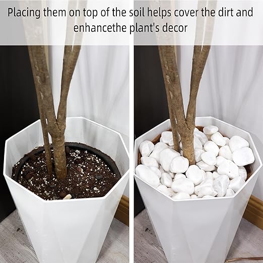 2LB 1"-2" White River Rocks for Plants, Polished Pebbles for Garden Landscaping, Planters, Aquariums, Vase Fillers – Indoor & Outdoor Decor