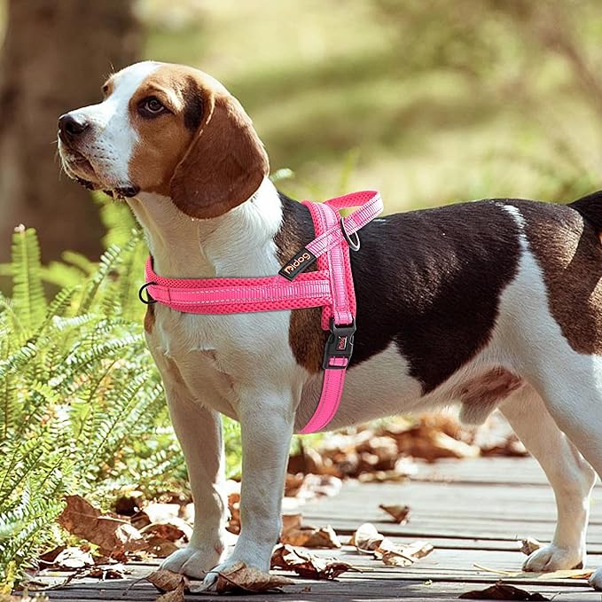 Didog No Pull Dog Harness with Soft Mesh Padded,Reflective & Quick Fit Light Weight Dog Strap Vest Harness,Easy for Walking Training (M:Chest 21-26", Pink)
