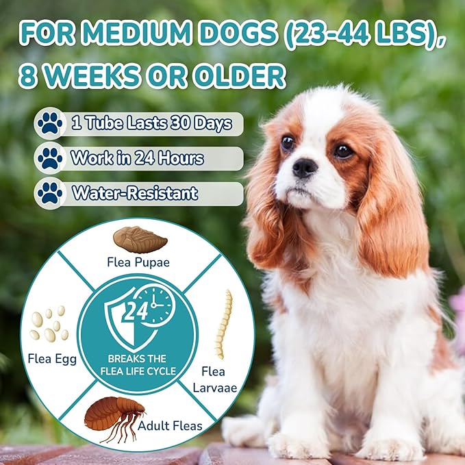 Flea and Tick Prevention for Dogs, 6-Month Supply Dog Flea and Tick Treatment Drops, Topical Fast-Acting Dog Treatment for Medium Dogs Up to 23 to 44 lbs