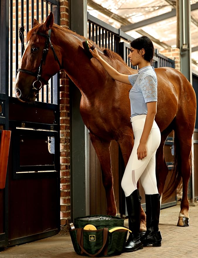 9PCS Horse Grooming Kit Curry Comb Sweat Scraper Horse Bathing Supplies Grooming Tools with Storage Bag Pasture Glow