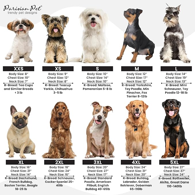 Champion Red Tank by Parisian Pet