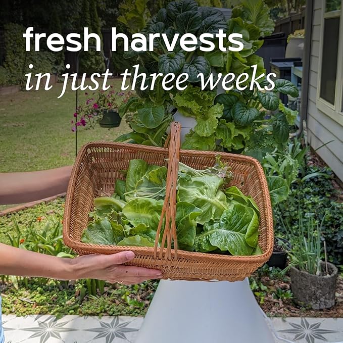 Farmstand Starter Kit + 36 Seedling Credits | Large Hydroponic Growing System Kit | Self-Watering Outdoor Vertical Garden Planter Tower | 6ft 1in | Made in USA