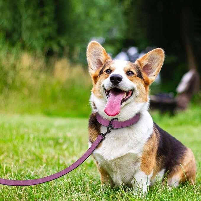 Didog Soft Padded Leather Dog Collar and Leash Set, Heavy Duty Dog Leash and Collar Set with Metal Buckle, Breathable Dog Collars with 4FT Leather Dog Leash for Small Medium Large Dogs, Purple, XL