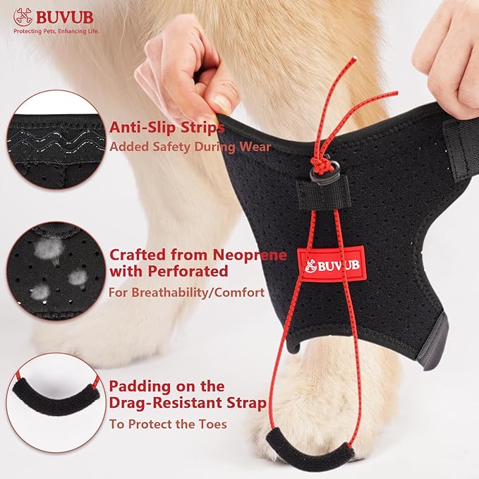 Dog Canine Knuckling Brace Rear Leg Dog Foot Brace Wrap for Toe Dragging Cause by Sciatic Nerve Insufficiency, Myelopathy, Herniated Disc (Small)