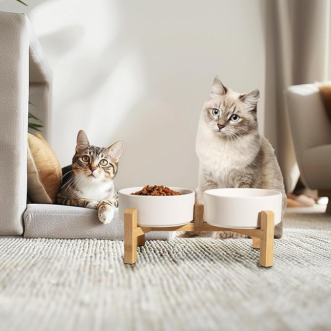 Elevated Ceramic Dog Bowl Set - Raised Feeding Bowls with Non-Slip Bamboo Stand - Small Pet Dishes for Food and Water - Ideal for Cats and Puppies - 16.23 OZ - 2 Cups - 480 ML