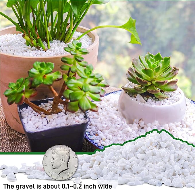 45lb White Cactus Pea Gravel Rocks,1/4 Inch Pebbles for Indoor Plants, Natural Succulent Rock and River Rocks Decorative for Aquariums, Vases, Outdoor Gardening, Top Dressing for Potted Plants