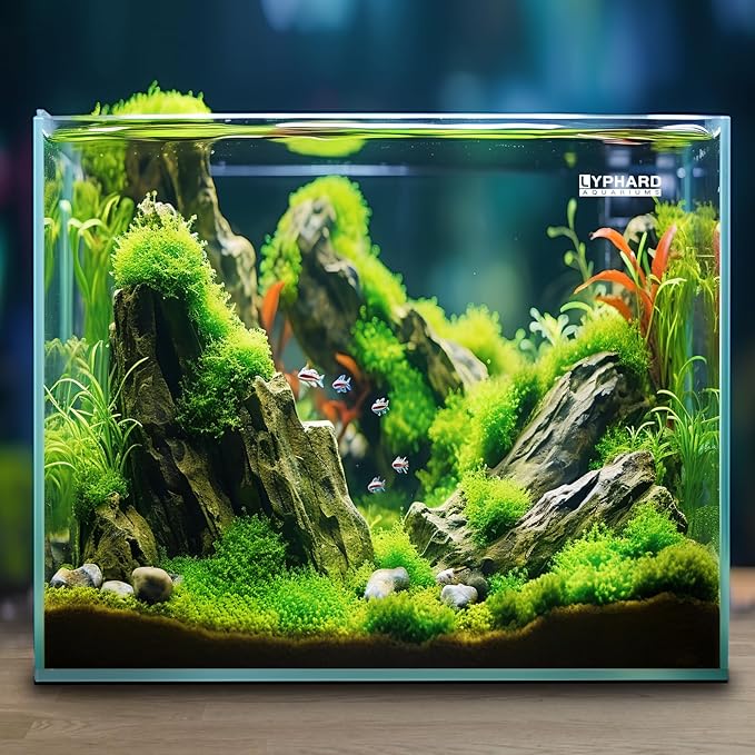 33 Gallon Cube Rimless Aquarium, Ultra Clear Low Iron Large Fish Tank, L19.7×W19.7×H19.7 Glass Thickness 8mm with EVA Foam Leveling Mat