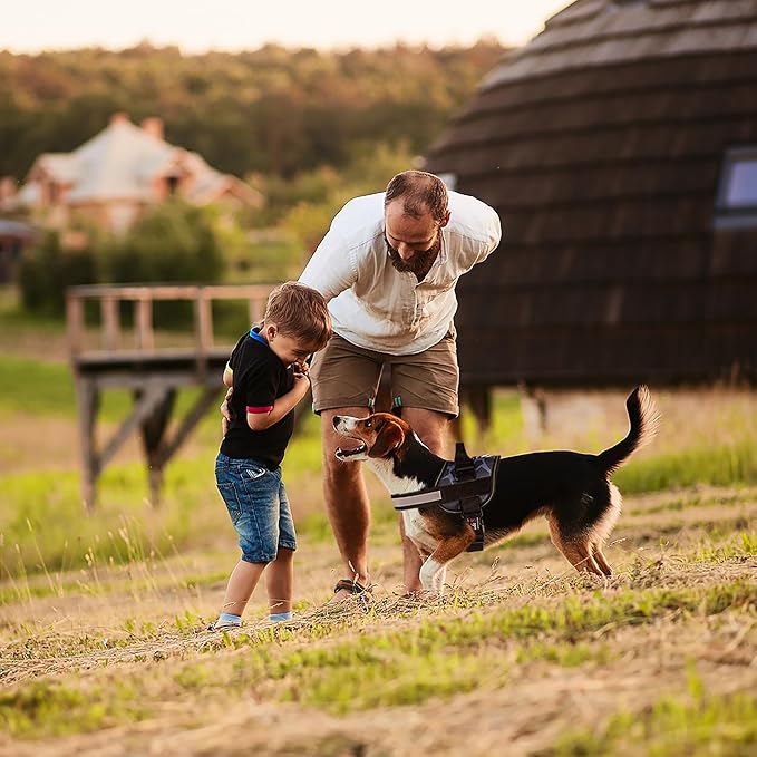 Dogline Dog Harness, Reflective No-Pull Adjustable Vest with Handle for Walking, Training, Breathable, No - Choke Harness for Small, Medium or Large Dogs Room for Patches Girraffe Grey S 18"-24"