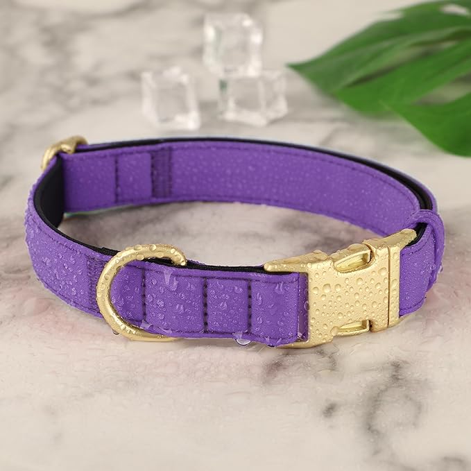 Didog Soft Padded Dog Collars for Small Dogs, Colorful and Durable Dog Collar with Quick Release Buckle, Light and Breathable for Daily Walking, Purple, S