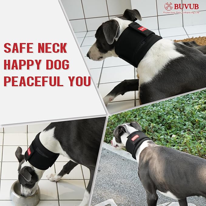 Adjustable Dog Neck Brace for Neck Pain & Injury Relief - Soft & Comfortable Support Collar for Dogs for Recovery After Surgery or Injury(Medium)