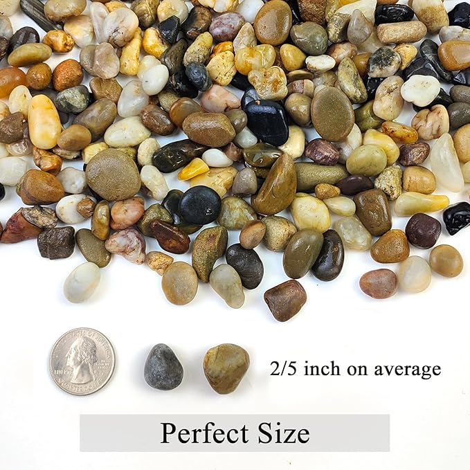 2lbs Aquarium Rocks, 2/5 Inch Pea Gravel for Indoor Plants, Decorative River Rocks for Fish Tank Succulent Vase Plant Soil Cover and Outdoor Landscaping