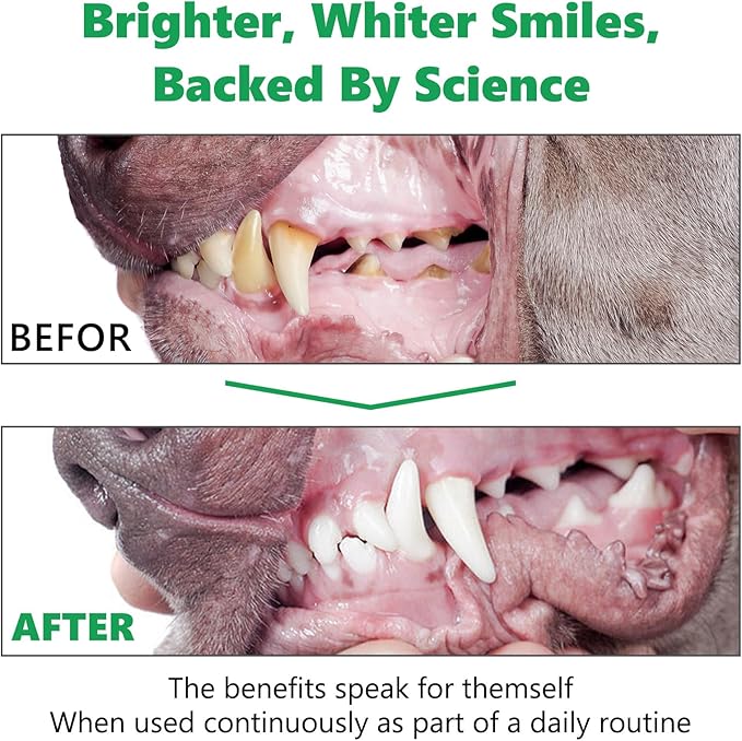 Dog Dental Powder, 120g Teeth Cleaning Powder for Dogs, Breath Freshener with Probiotics Improve Bad Breath, Remove Plaque & Tartar - Pets Dental Care Supplement for Dogs - 4.23 OZ/Scoop Included