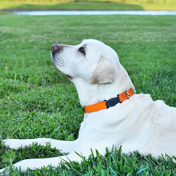 Dogline Biothane Waterproof Dog Collar with Herm Sprenger Stainless Steel Quick Release Buckle – Heavy Duty Tactical Durable Collar for Dogs – Comfortable and Safe Pet Collar W 3/4" L 12-19" Tangerine