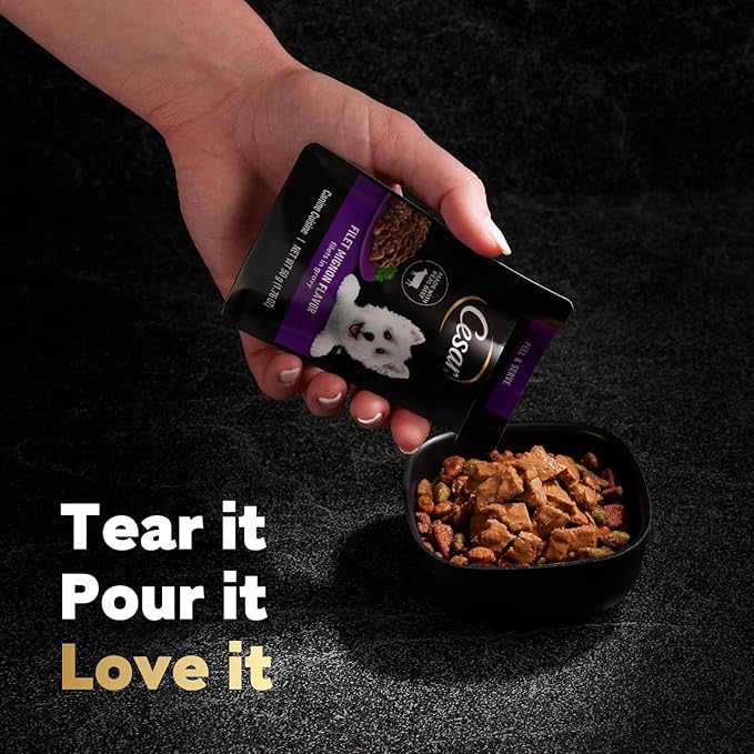 Cesar Filets in Gravy Wet Dog Food Filet Mignon Flavor, 1.76 oz. Mini-Pouch (20 Count, Pack of 1)