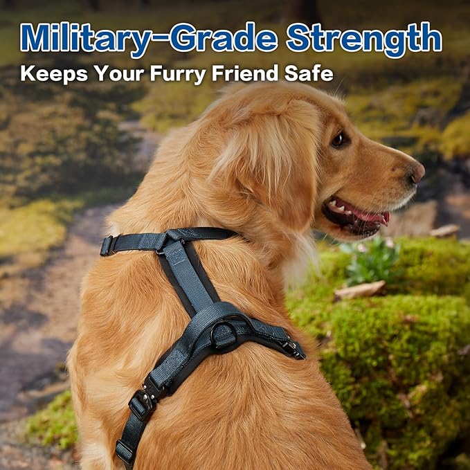 CLEPAWS Dog Harness for Small Dogs, No Pull Dog Harness Easy Walk with Metal Hardware, Ergonomic Y-Shaped Design, Soft Padding, Padded Handle, Durable High-Tensile Nylon (Nightfall, S)