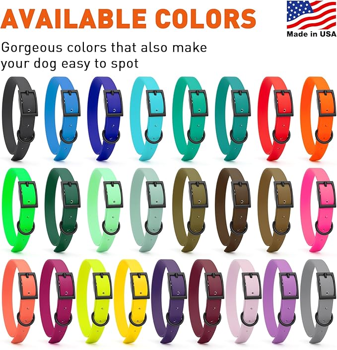 Dogline Biothane Waterproof Dog Collar Strong Coated Nylon Webbing with Black Hardware Odor- Proof for Easy Care Easy to Clean High Performance Fits Small Medium or Large Dogs, Sea Foam Green