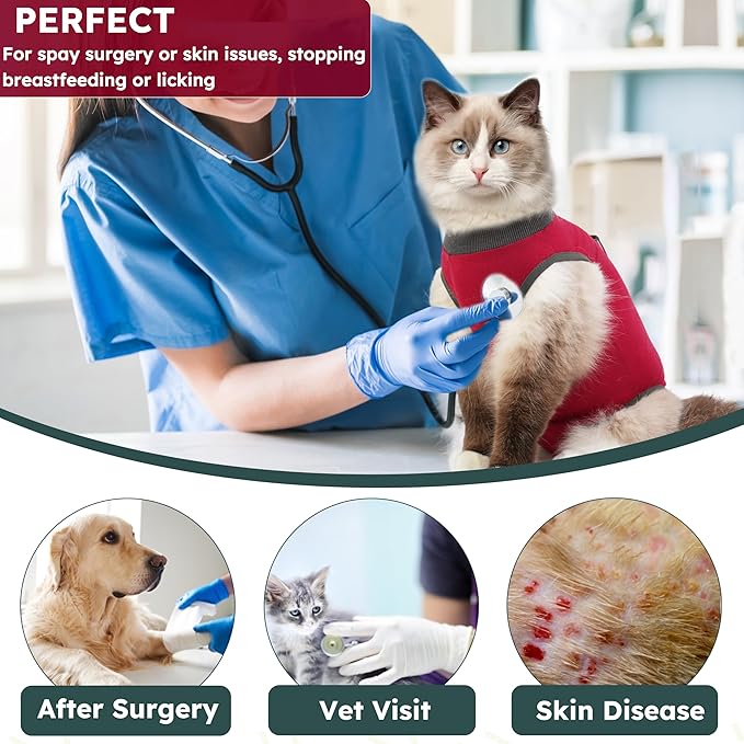 Cat Recovery Suit After Surgery, Breathable Cat Surgery Recovery Suit for Spay Abdominal Wounds or Skin Diseases, E-Collar Alternative Wear for Small Male Female Pets (Red,L)