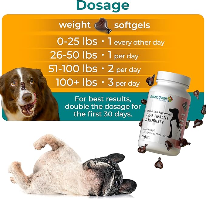 1TDC WorksSoWell Dual Action Joint Supplement for Dogs & Cats - Hip and Joint Supplement for Large Breed & Small Breed - Also Great for Oral Health - Muscle & Stamina Recovery & Arthritis - 120ct