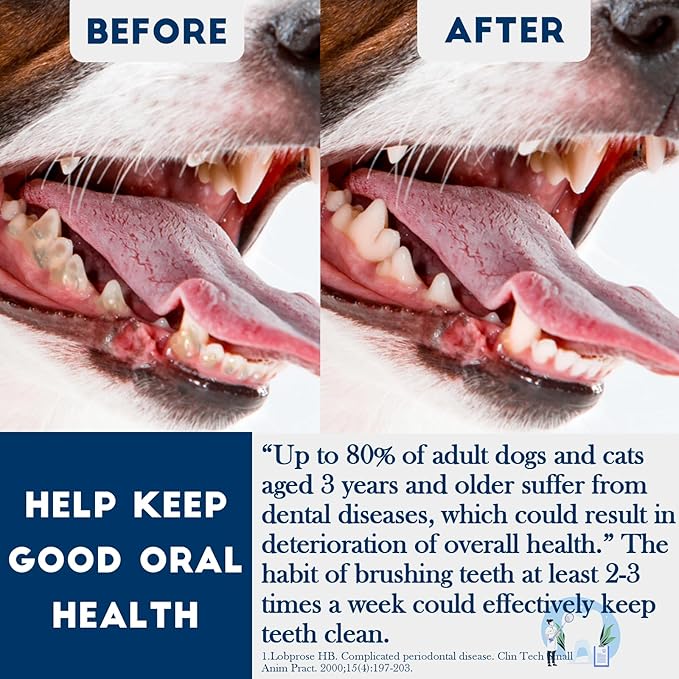 Dog Toothbrush Kit 2 Pack, Ultra Soft Pet Tooth Brush for Medium to Large Dogs, Animal Teeth Brushing Kit for Easy Dental Cleaning