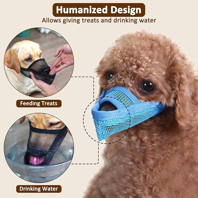 Crazy Felix Nylon Dog Muzzle for Small Medium Large Dogs Poodle Labrador Golden Retriever Doberman, Air Mesh Breathable and Drinkable Pet Mouth Guard for Anti-Biting Chewing Scavenging(XL, Blue)