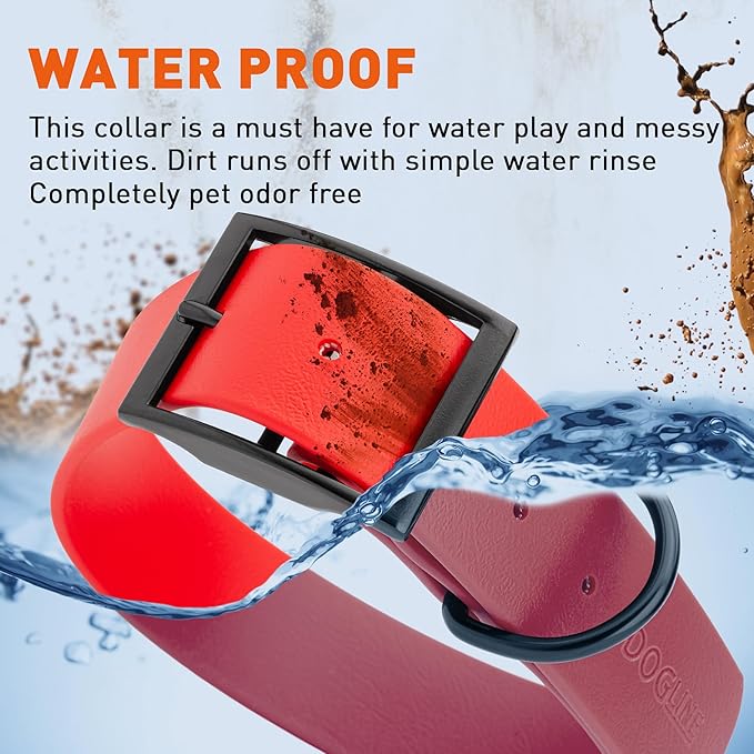 Dogline Biothane Waterproof Dog Collar Strong Coated Nylon Webbing with Black Hardware Odor- Proof for Easy Care Easy to Clean High Performance Fits Small Medium or Large Dogs, Cherry Red