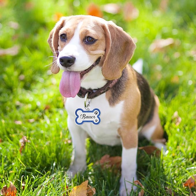 Dog Tags Personalized for Pets Dog Name Tags Personalized Dog Tag Engraved with Any Name & Text Custom Dog ID Tags Glitter Bone ID Tag for Puppy Cat (Silver S, Bone)