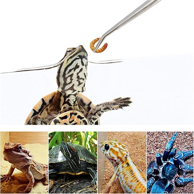 Feeding Tongs 2pcs Stainless Steel Aquarium Long Tweezers 27cm/10.6 inches Straight Curved Tweezers for Fish Tank Aquatic Plants Reptile Lizard Gecko Snake Spider Bird