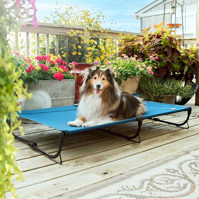 Folding Raised Dog Bed, Large Outdoor Elevated Dog Cot, Cooling Chew Proof Pet Cots Bed, Portable, Heavy Duty Up to 160 lbs, Pet Cot for Camping, Home, Dark Blue, 49"x33"x7"