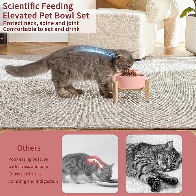 Elevated Ceramic Dog Bowl Set - Raised Feeding Bowls with Non-Slip Bamboo Stand - Small Pet Dishes for Food and Water - Ideal for Cats and Puppies - 16.23 OZ - 2 Cups - 480 ML