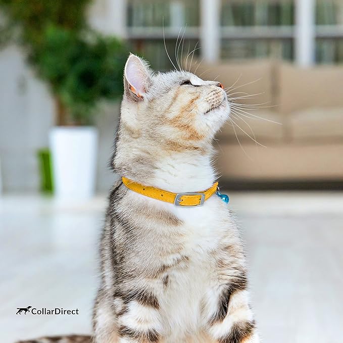 CollarDirect Leather Cat Collar with Removable Bell – Safety Kitten Collar with Elastic Strap (Yellow, 15 - 18 cm)