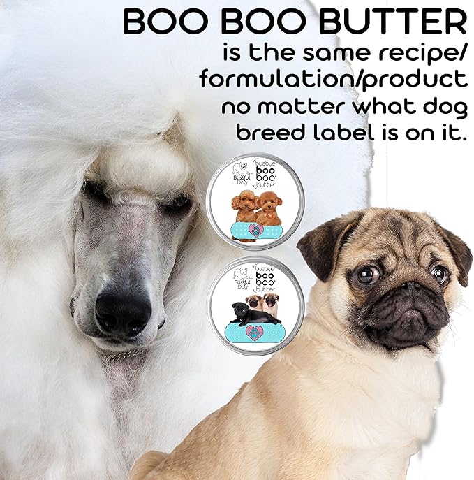 English Toy Spaniel Boo Boo Butter, 0.15 oz