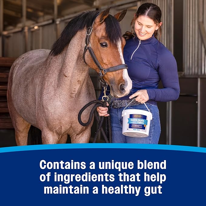 Farnam Gastric Health Pellets, Daily Gut and Digestive Health Supplement for Horses Helps Maintain a Healthy Gastrointestinal Tract and Gut Function