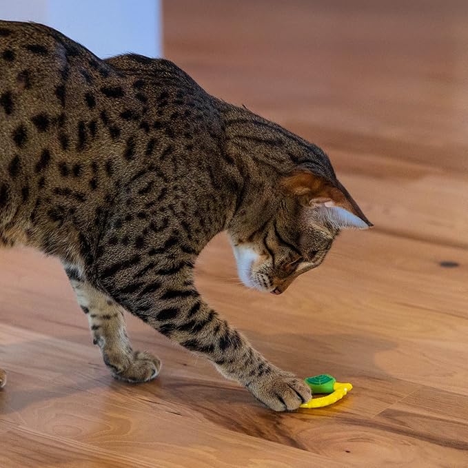 Catstages Dental Lemon Teether, Soft and Textured Cat Chew Toy, Catnip Oil Coating, Yellow