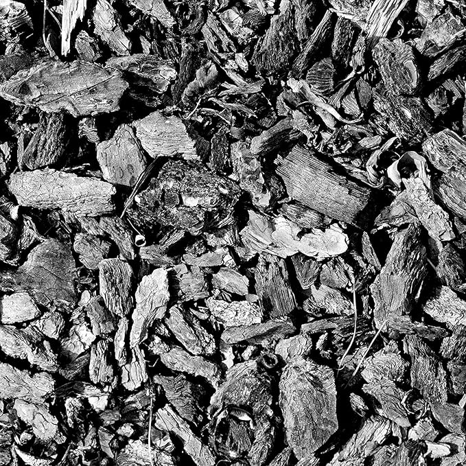 Char Bliss (24 Qts) - Organic Biochar for Plants - OMRI-Listed Biochar Soil Amendment Organic - Bio Char for Plants - Horticultural Charcoal for Plants, Potting Soil, Garden Soil, & Potting Mixes