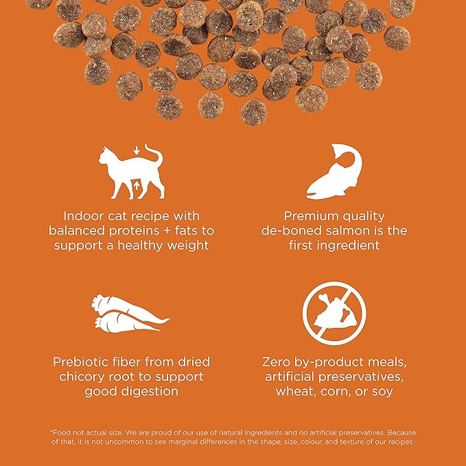 Go! Solutions Skin + Coat Care, Grain-Free Dry Cat Food, Salmon Recipe, 16 lb Bag