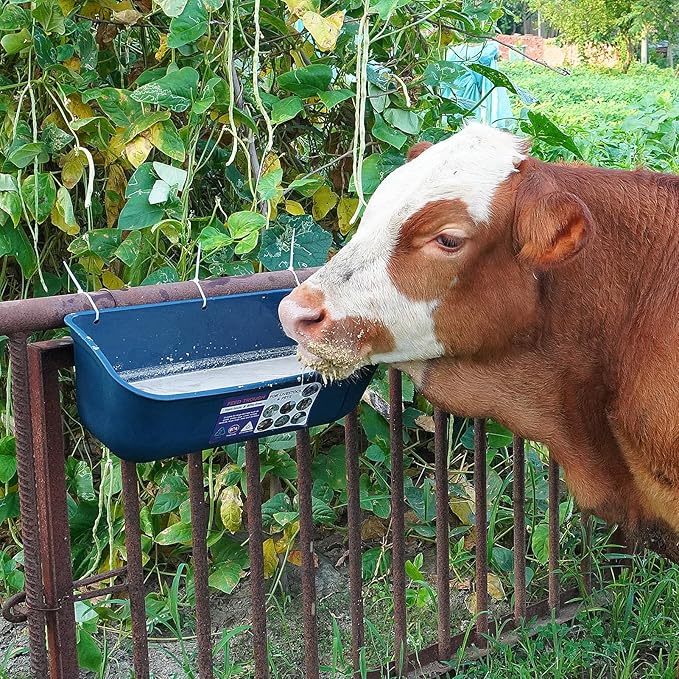 Goovilla Large Feed Trough, Hanging or Screw-in Fence Feeder with Clips, 2 Pack 9 Quart Goat Feeder Supplies, Dog Horse Hog Pig Livestock Poultry Plastic Feeder Trough Bucket for Large Animal, Blue