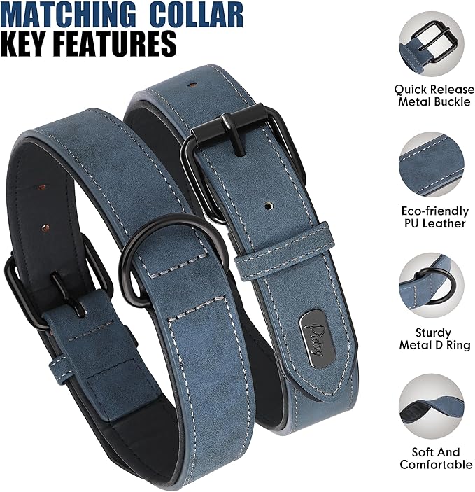 Didog Soft Padded Leather Dog Collar and Leash Set, Adjustable Dog Leash and Collar Set with Metal Buckle, Breathable Dog Collars with 4FT PU Leather Dog Leash for Small Medium Dogs, Blue, M