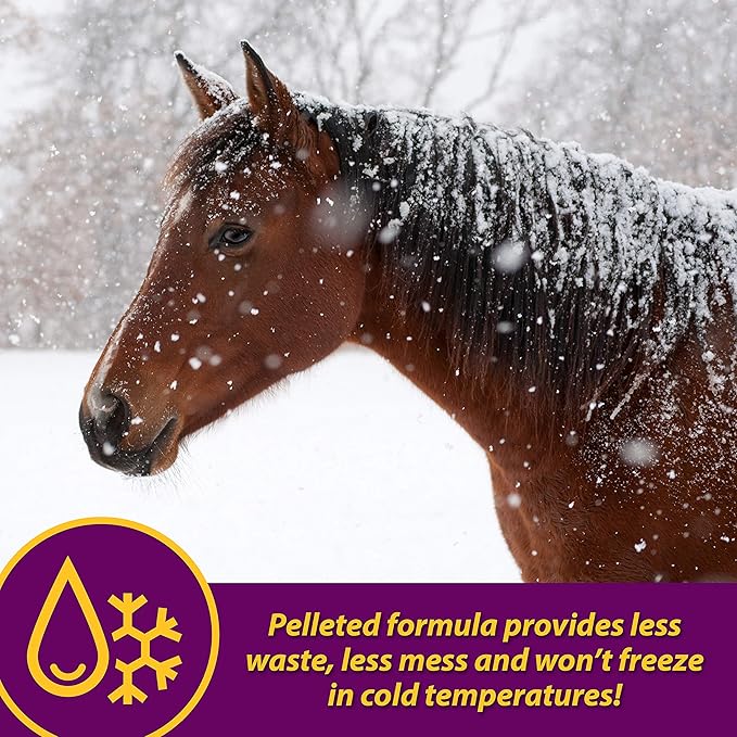 Farnam Horse Health Red Cell Pellets, Vitamin-Iron-Mineral Supplement for Horses, Helps Fill Important Nutritional Gaps in Horse's Diet, 4 lbs., 64-Day Supply