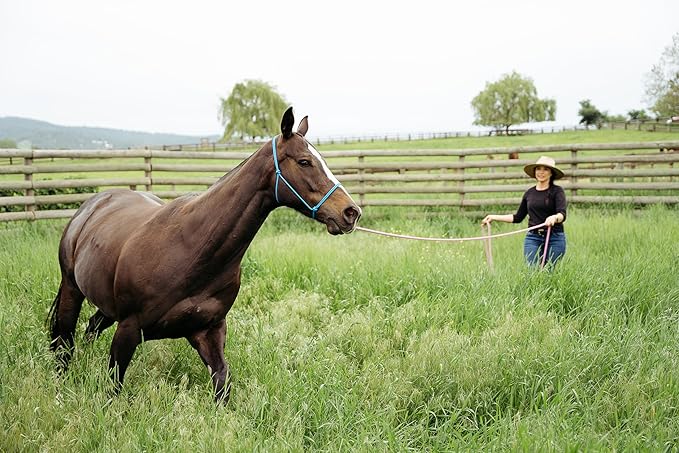 22' Long Line with SS O Ring and Carabiner (Purple)