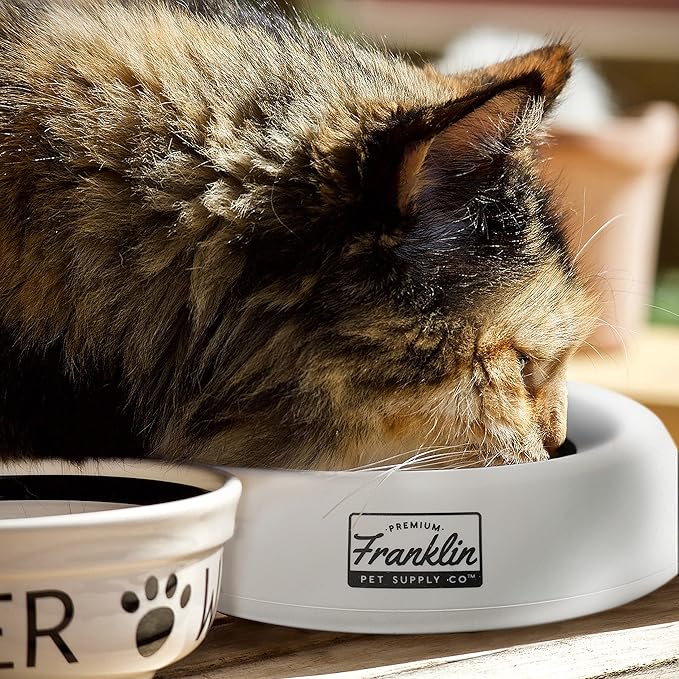 Franklin Pet Supply Co. Co. Spill Proof Pet Bowl - No Splash Travel Water + Food Dish for Dogs + Cats - Portable - 16 oz. - BPA Free