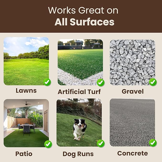 Doodust Dog Poop Clean Up Powder, Poop Hardener & Yard Cleaner, Biodegradable, Pet-Safe, Stops Odor and Makes Pickup Easy