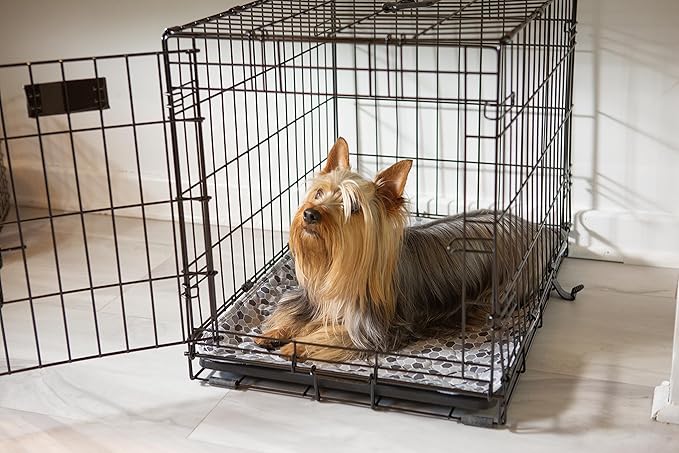 Caldwell's Pet Supply Co. 20x30 Washable Pee Pads for Dogs, Reusable Pee Pad for Dogs, Puppy Potty Mat, Whelping Rug, Reusable Puppy Mat, Waterproof Rug for Dog of All Breeds, Small (Set of 2)