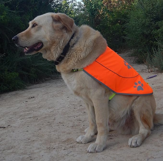 Dog Reflective Vest - Comfortable Jacket Safety Hunting, High Visibility for Dogs with Elastic Straps and Clasp Closure- Orange, Large