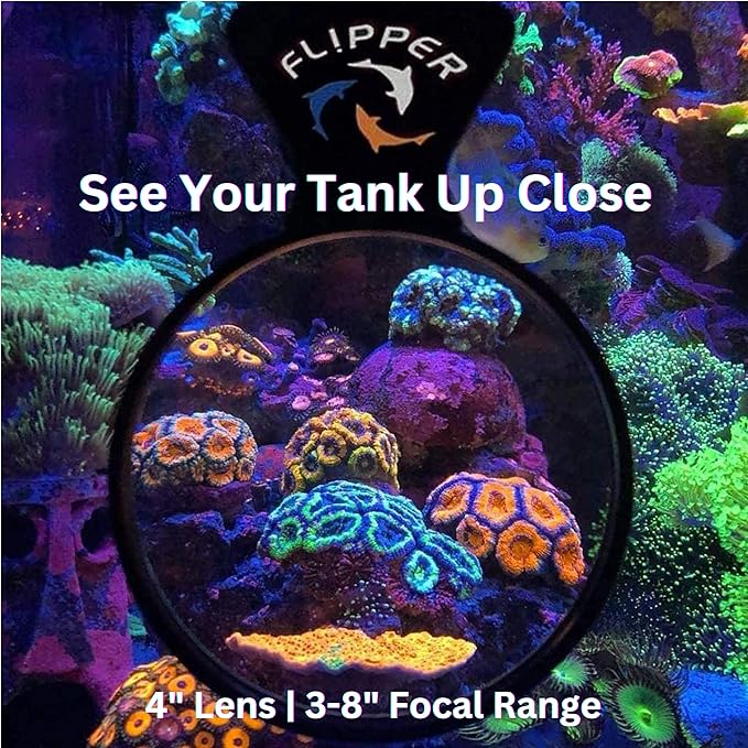 Flipper DeepSee 4" Viewer - Filter Clear Lens and Aquarium Magnetic Magnifier - Fish Tank Magnifying Glass for Coral Reef Aquarium - Magnetic Magnifying Glass Ideal for Photography - Black