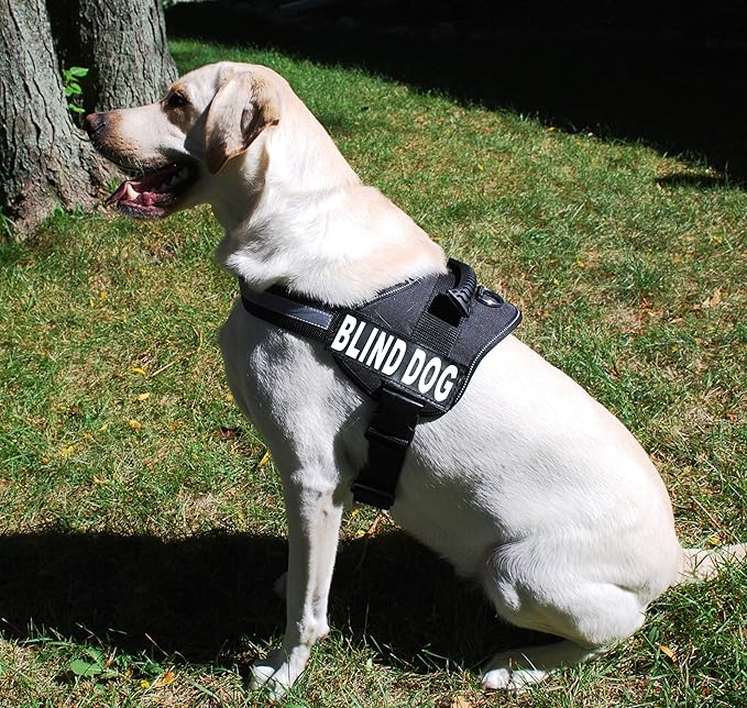 Doggie Stylz Blind Dog Vest Harness with Removable Patches and Reflective Trim. Comes with 2 Blind Dog Reflective Hook and Loop Patches. Measure Dogs Girth Before Purchase (Girth 30”- 42" Black)