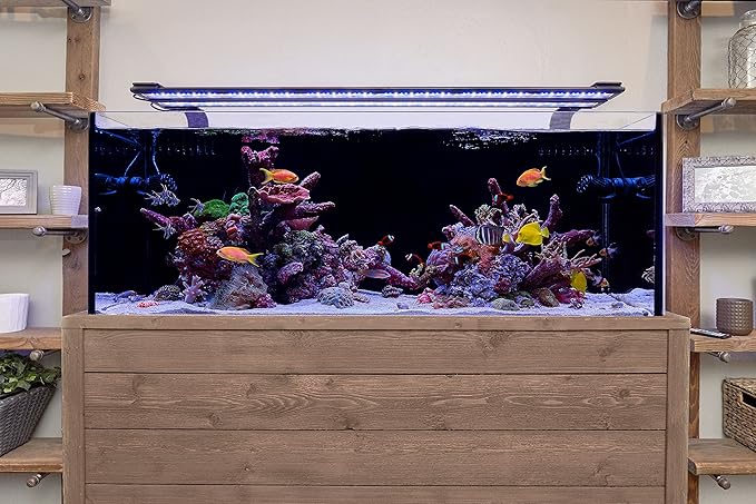 CURRENT USA 48 - 60" Inch Orbit Marine LED Saltwater Reef Marine Aquarium Light | 24 Hour IR Lighting & eFlux Wave Pump Control | Adjustable Color Spectrum for Fish Tank (4103)